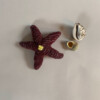 Sea stars are related to sand dollars, sea urchins, and sea cucumbers. Have you ever seen a sea cucumber? Maybe I’ll do a 100 Sea Cucumber Project next. - Made from an old sock.
